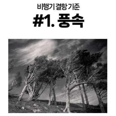 비행기-결항-실시간-항공기-운영-출발-도착-정보-공항-날씨-확인-대처-방법