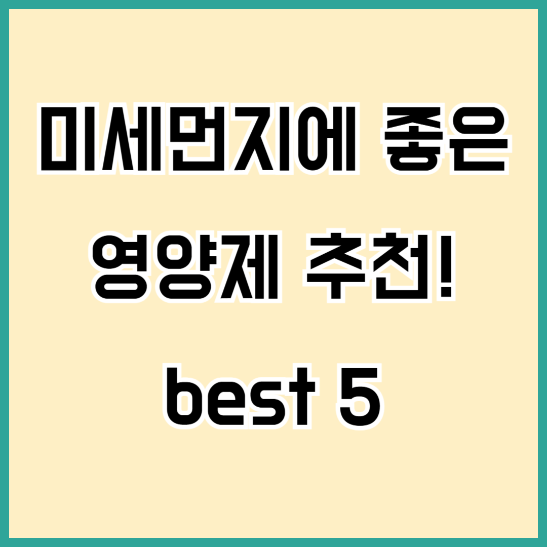 미세먼지 영양제 추천