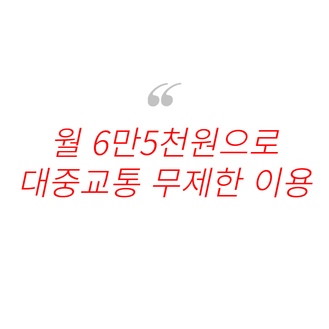 기후동행카드 사진