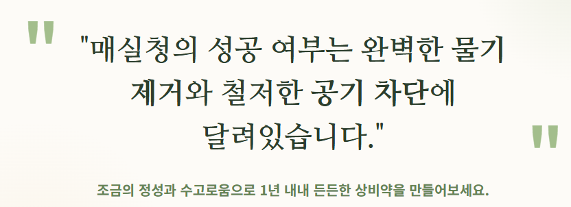 매실청 담그는법