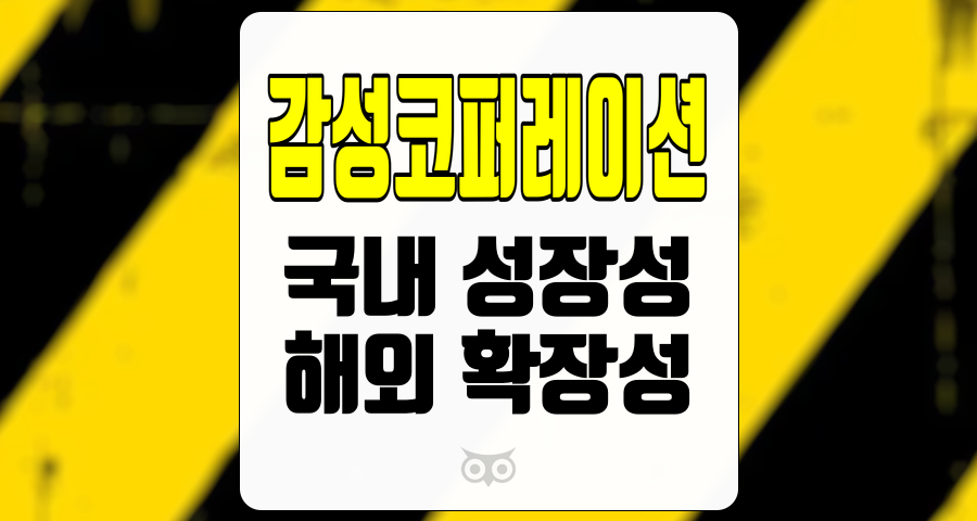 감성코퍼레이션, 국내 시장에서의 안정적 성장과 해외 시장 확장을 통한 지속 가능한 성장 가능성
