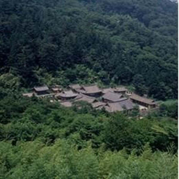 고성 가볼만한곳
