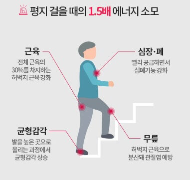 계단 오르기