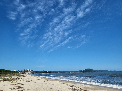 가라츠 무지개송림해변사진