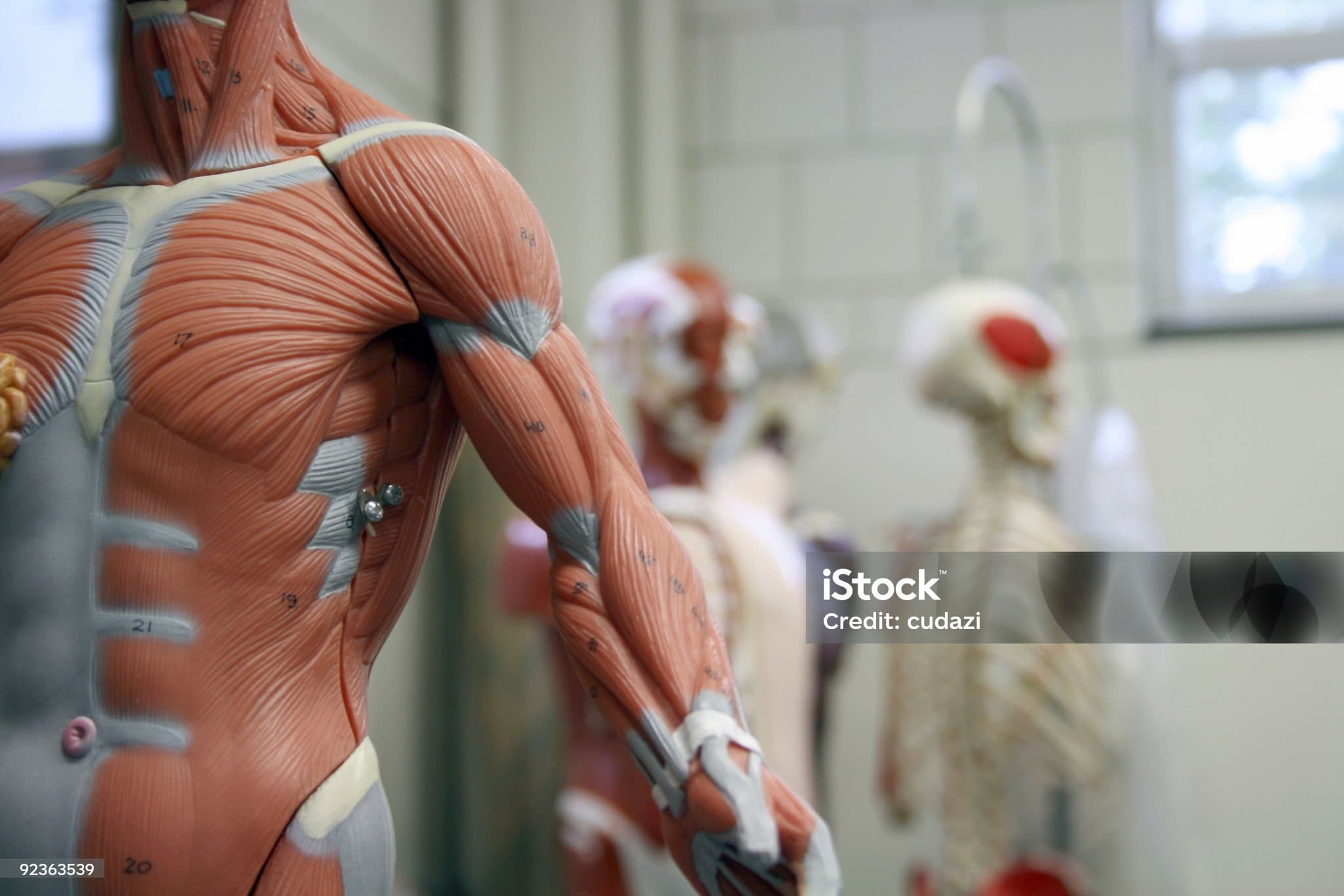 어깨 근육이 자주 뭉치는 이유, 혹시 이 습관 때문인가요?