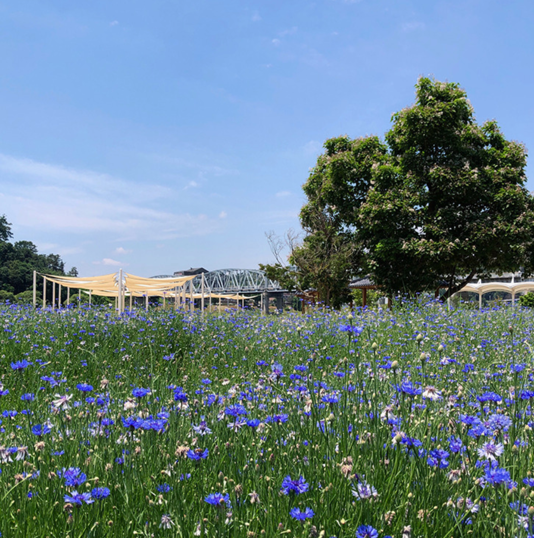 공주 가볼만한곳 베스트10