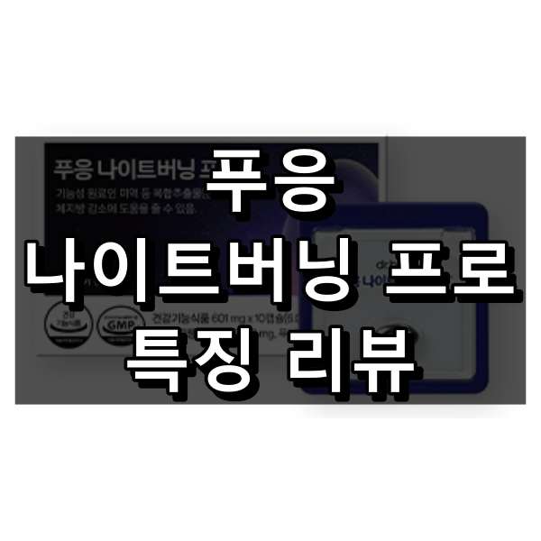 푸응 나이트버닝 프로 대표 이미지