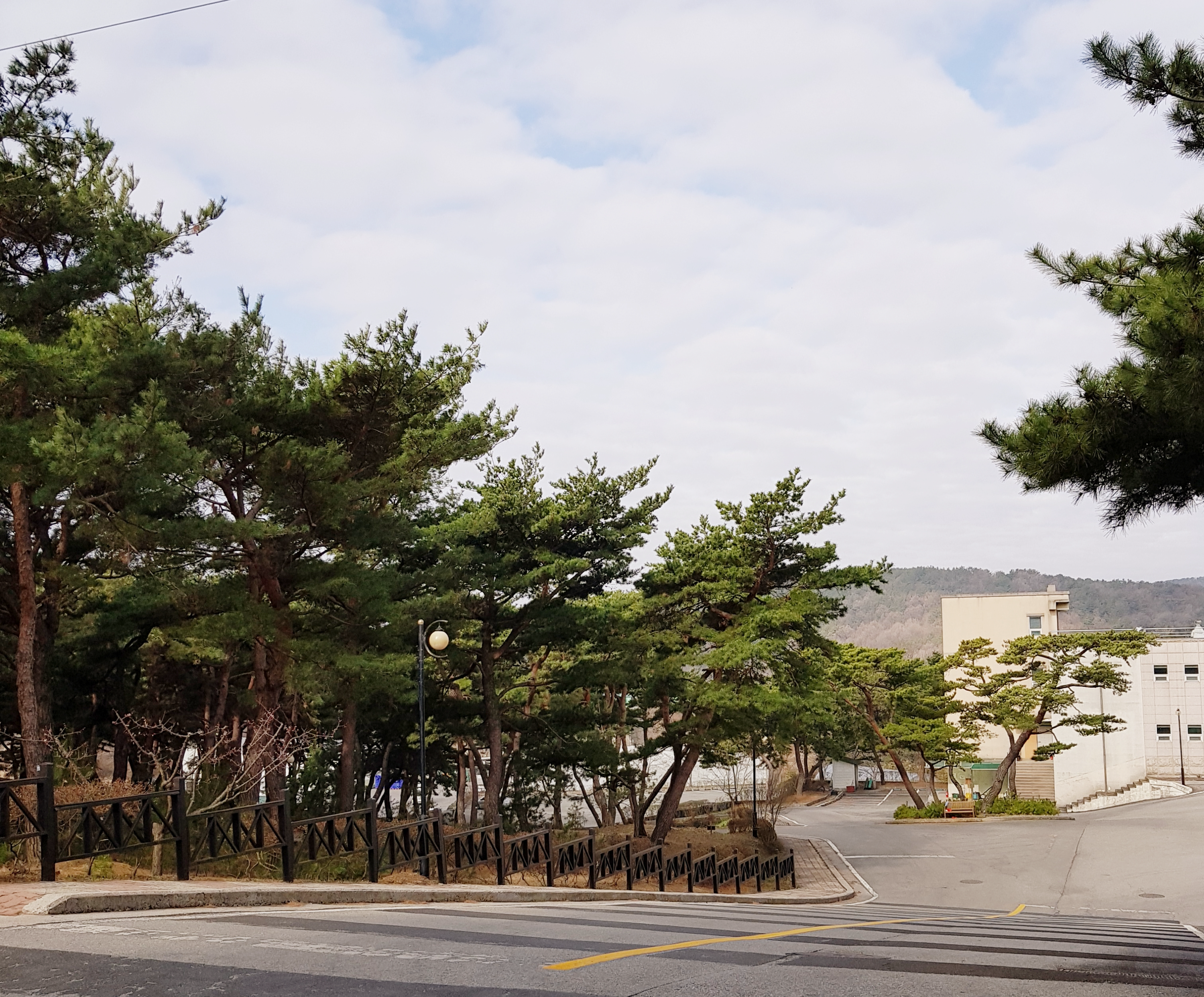 마음수련 메인센터 명상