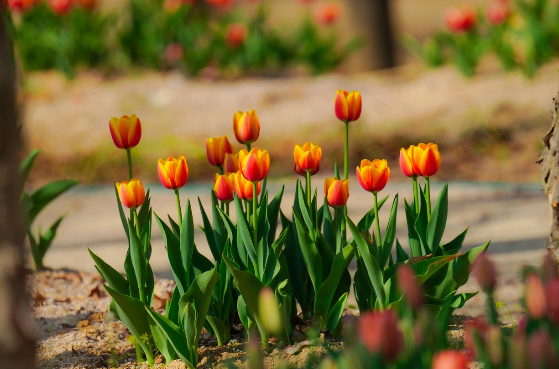 짧은 영상(숏폼) 시청하는 아이의 모습