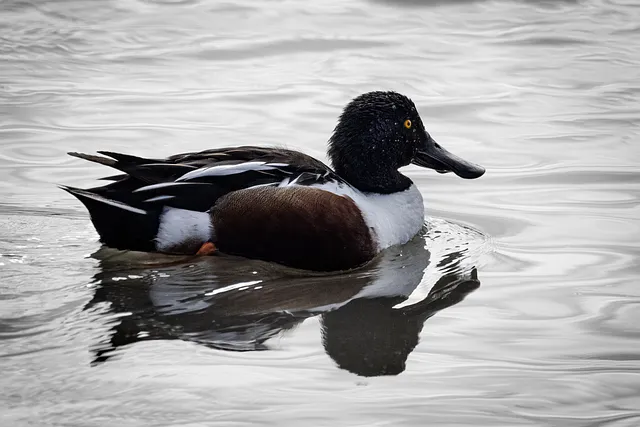 경상도 사투리 입문 부산 대구 말투 차이 비교_8