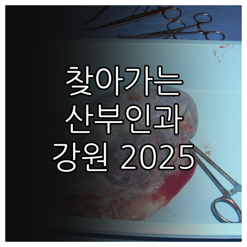 2025 강원특별자치도 찾아가는 산부..