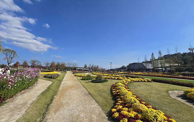 2025 순천만국가정원 입장료 추천코스 스카이큐브 순천여행 근처맛집 현지인추천 맛집 주차장 동문 서문 편의시설 예약 정원해설