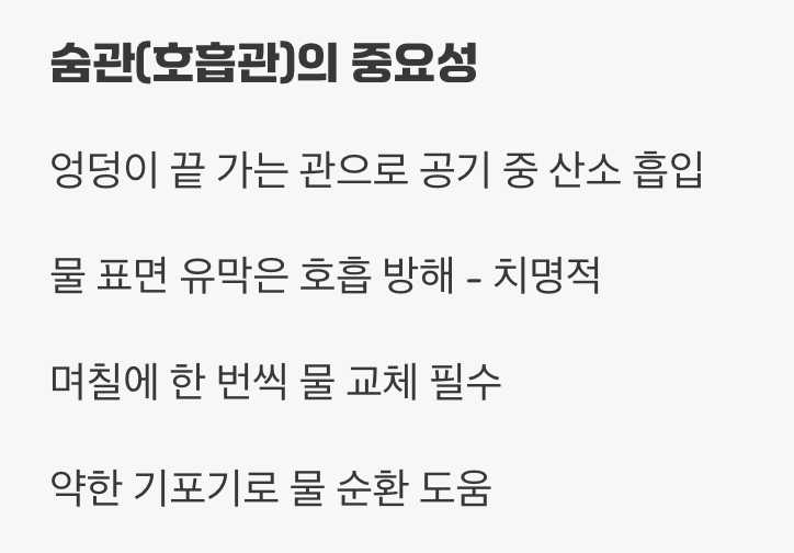 생명줄과도 같은 &amp;#39;숨관&amp;#39;&amp;#44; 수질 관리의 핵심