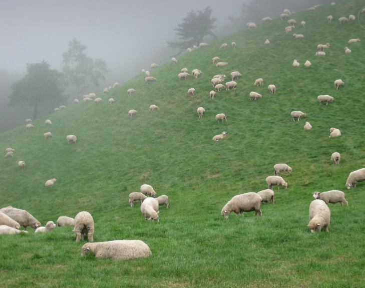 여름휴가 강원도여행, 아이와 함께 가볼만한 여름 여행지 BEST 5