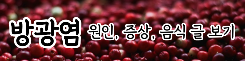 방광염에 좋은 차 방광염 병원