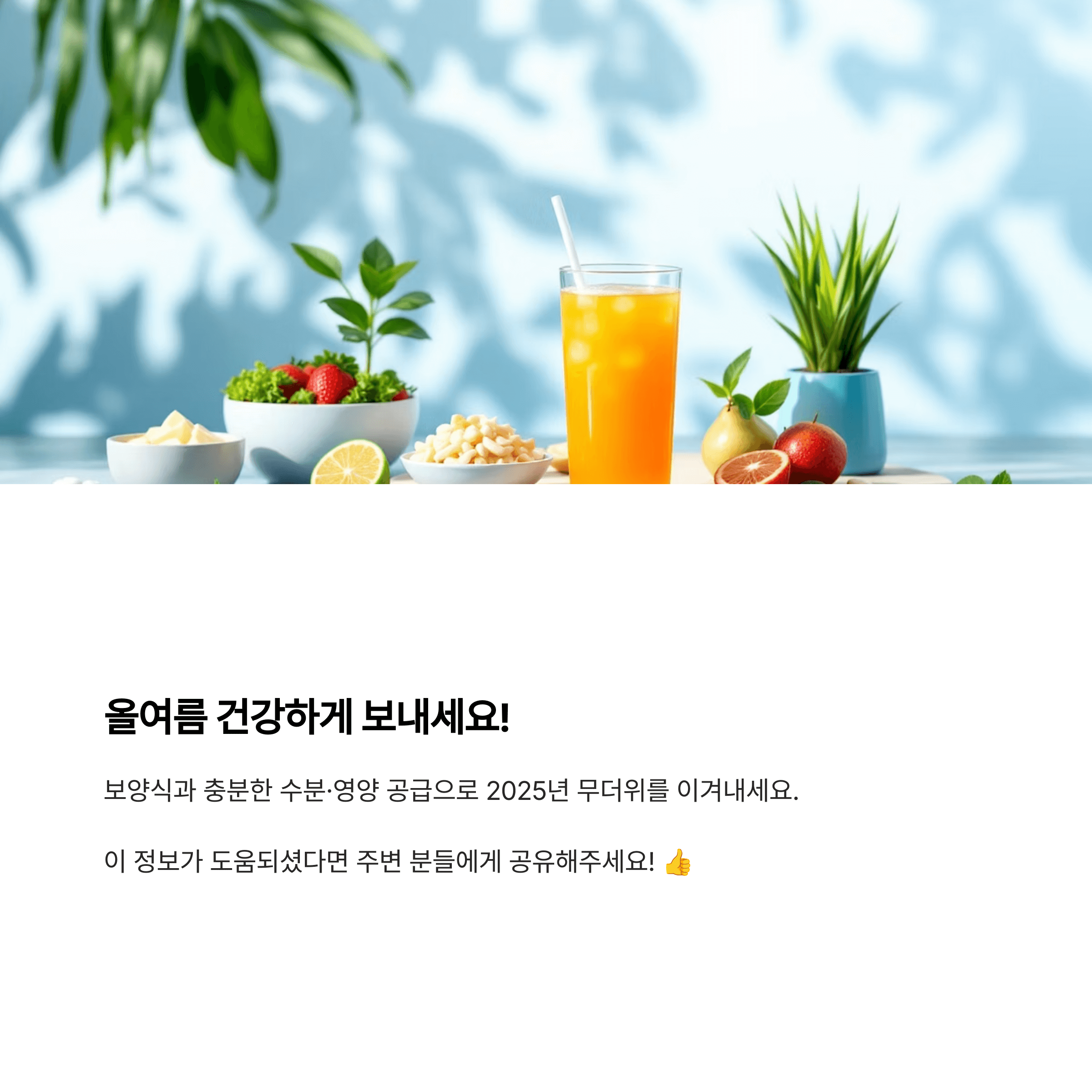 보양식과수분공급