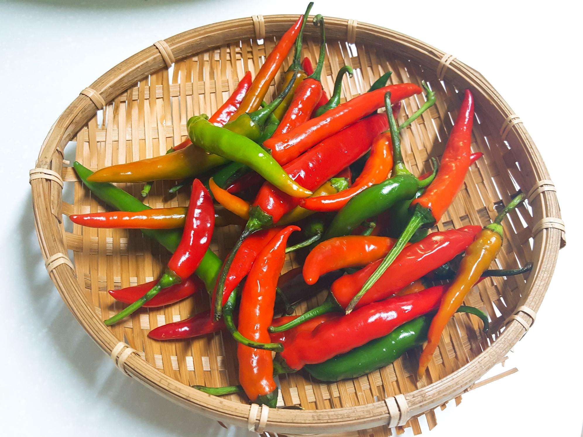 고추장아찌 담그는법&amp;#44; 1년동안 무르지 않게 담그는 비법