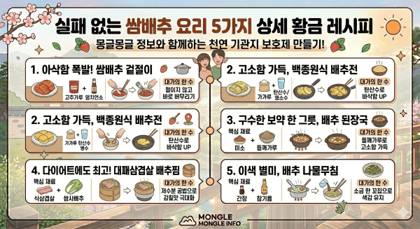 쌈배추 활용하는 5가지 요리 레시피