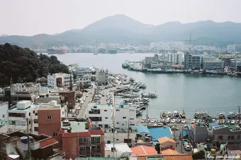 통영 동피랑 벽화마을 관람 팁과 인생샷 포인트 소개_6
