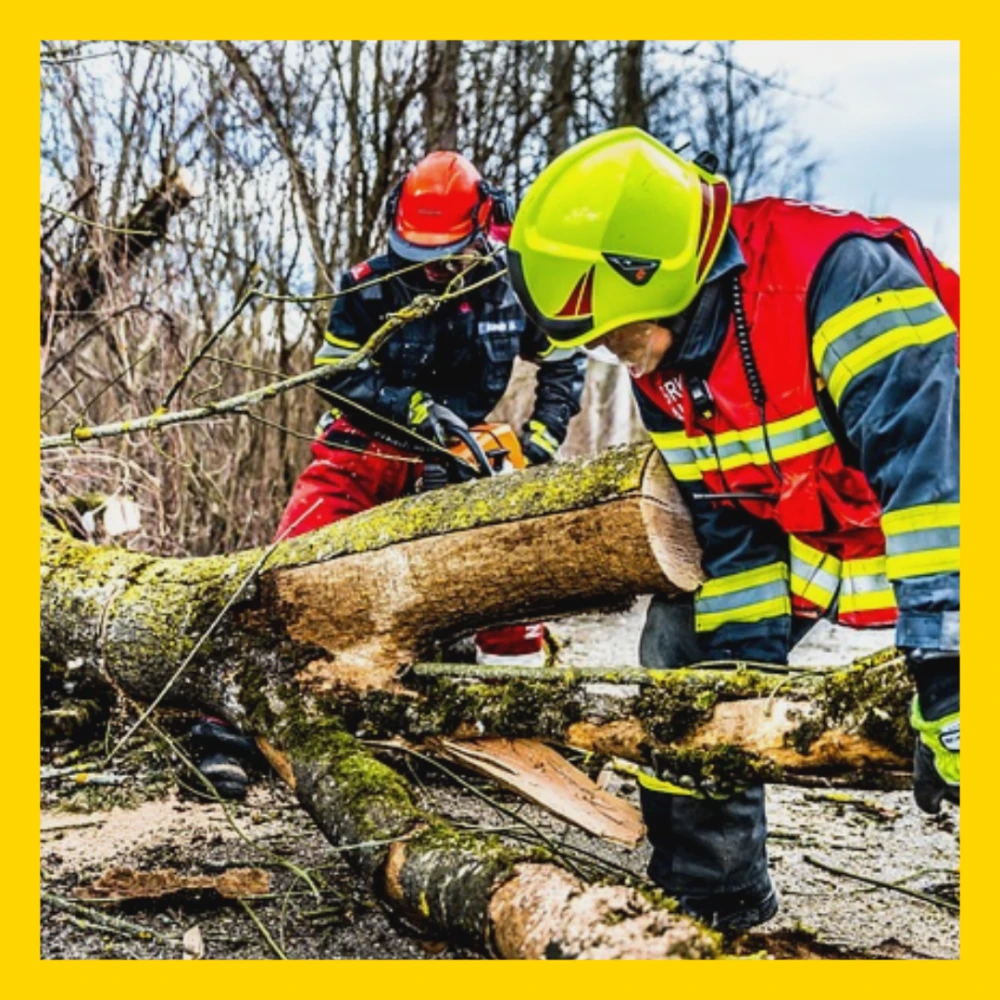특별재난지역-선포-기준-혜택-선포지역