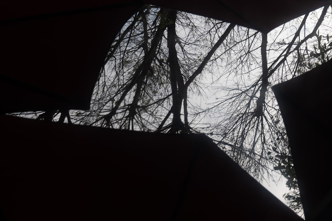 Awning