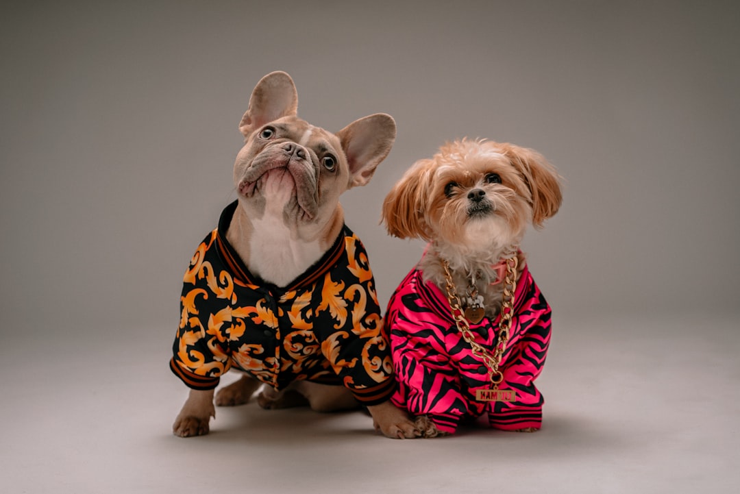Dogs