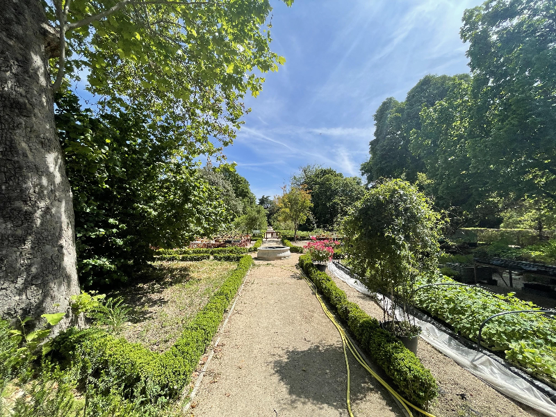 마드리드 왕립식물원 - 분재 컬렉션