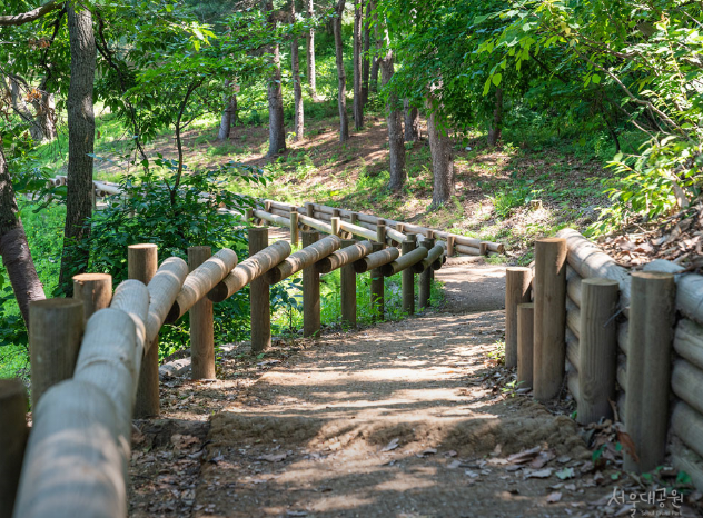 서울근교벚꽃명소