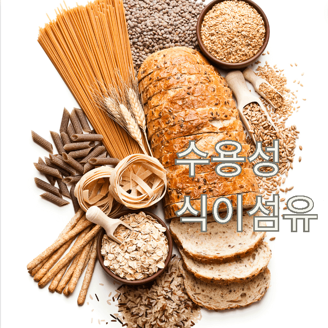 수용성 식이섬유