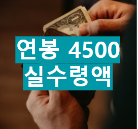 연봉 4500 실수령액
