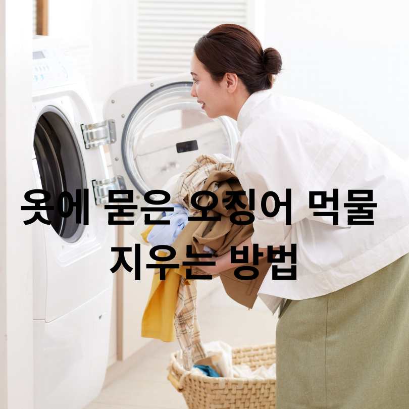 오징어 먹물 지우는 방법 총정리
