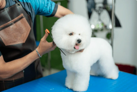 인천 평생교육 바우처 사용기관 · 사용처