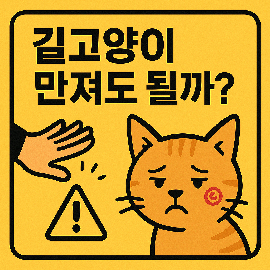 길고양이 피부병 링웜 전염 주의, 사람에게도 옮을 수 있는 고양이 피부질환 정보