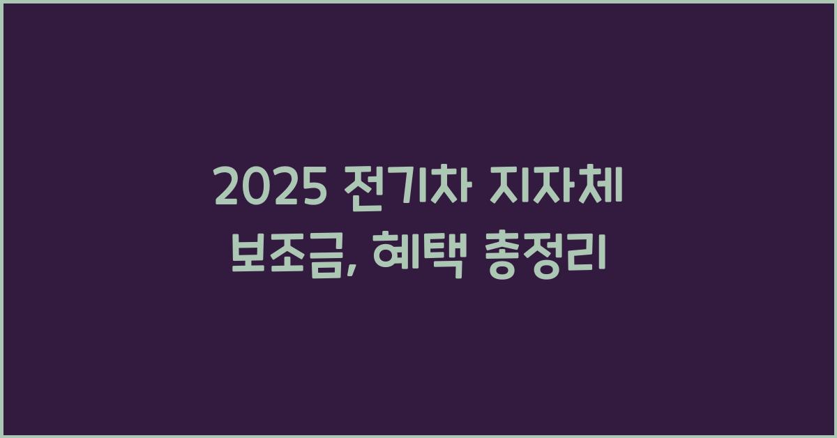 2025 전기차 지자체 보조금