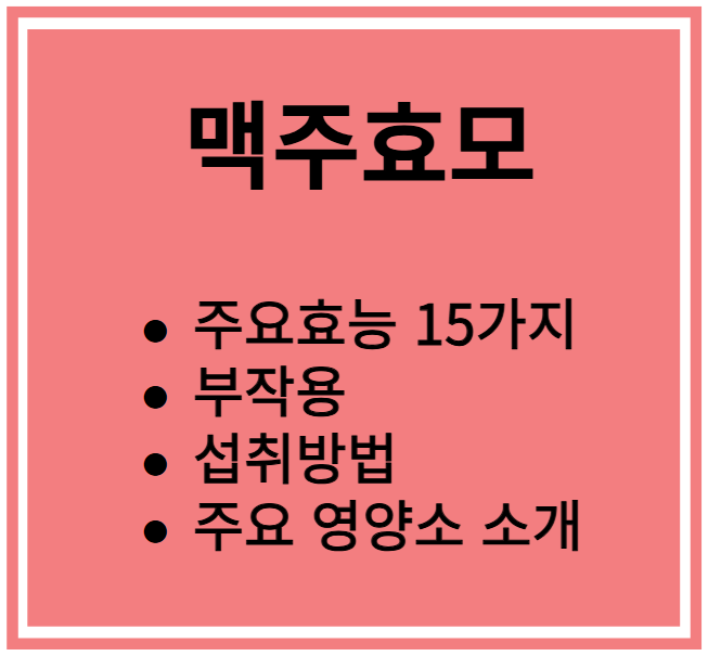 맥주효모