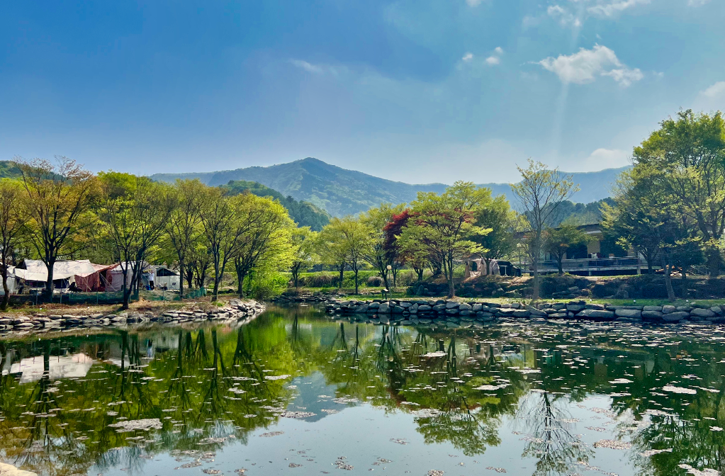 경기-가평-유명산밸리-캠핑장-사진-입니다.