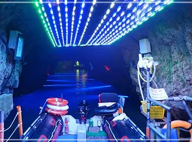 울산-자수정동굴나라-입장료-운영-시간-이용-방법