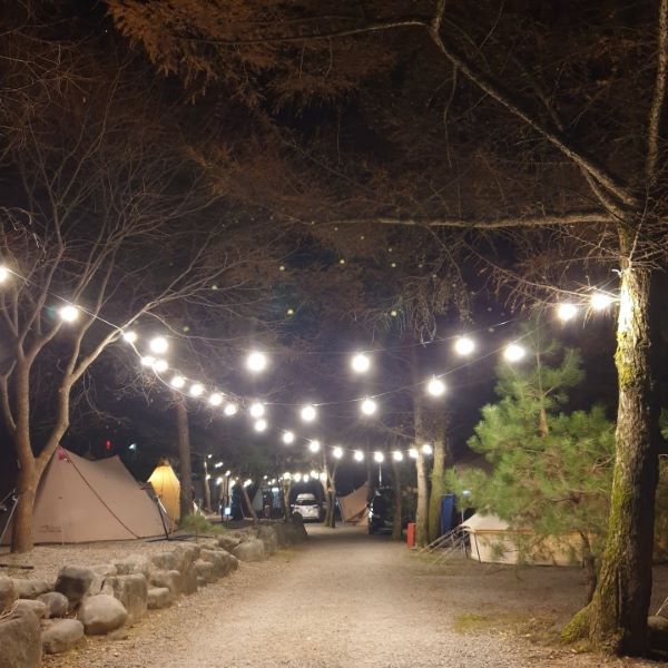 느티나무캠핑장_야간