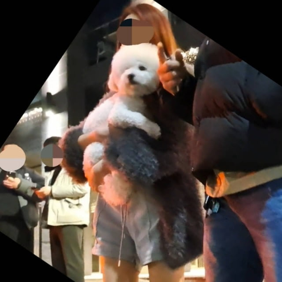 만취한 채 운전하다 사망 사고를 내고도 제대로 된 구호 조치를 하지 않은 채 강아지만 끌어안고 있었다고 알려진 20대 여성이 유명 DJ인 것으로 드러났다. 사진은 사고 당시 모습. [사진=유튜브 채널 '카라큘라 미디어']