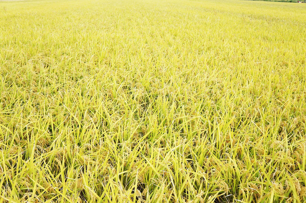 농업인을 위한 정부 지원사업