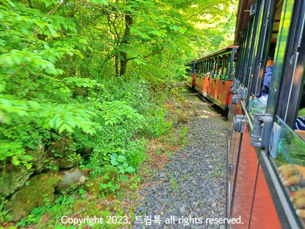 왼편에 초록숲이 보이고 갈색 열차가 지나간다