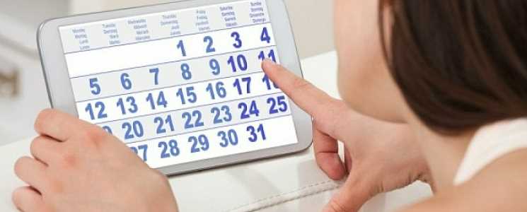 우엉 효능 - 생리불순 개선