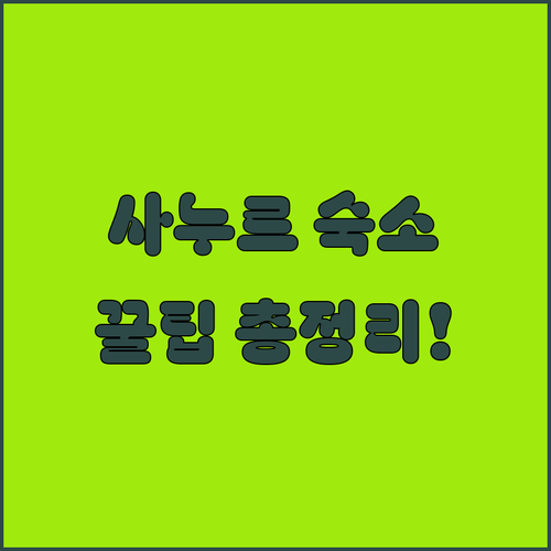 아이와 가기 좋은 발리 사누르 숙소 ..
