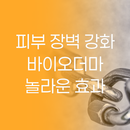 피부 장벽 강화에 탁월한 바이오더마 