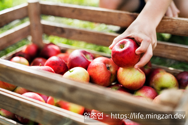 사과 먹을 때 주의 사항은 없을까?