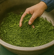 말차 녹차 차이