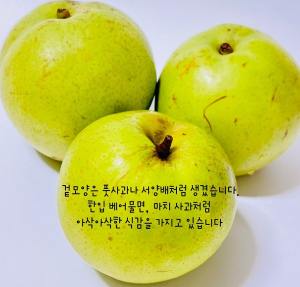 전남 강진 그린시스 
