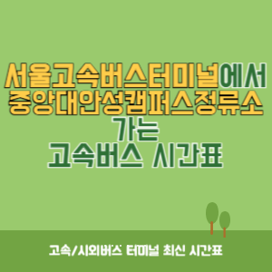 서울고속버스터미널에서 중앙대안성캠퍼스정류소 가는 고속버스 시간표 최신정보