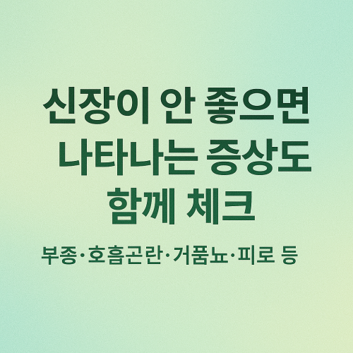 신장이 안 좋으면 나타나는 증상도 함께 체크