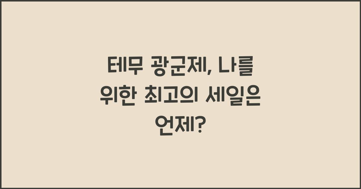 테무 광군제